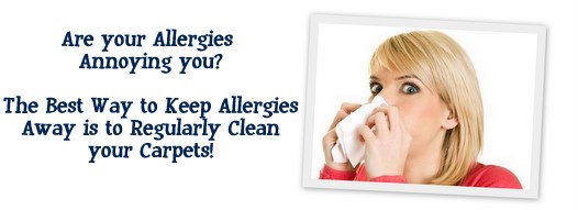 Carpet Cleaning Elizabeth,  NJ