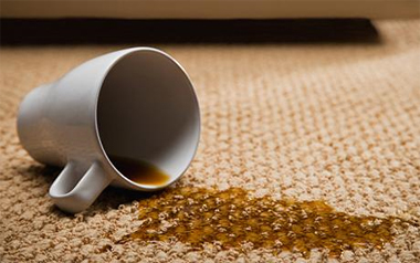 Carpet Cleaning Elizabeth,  NJ