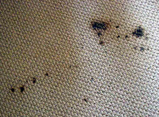 Spot & Stain Removal Elizabeth,  NJ