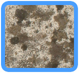 Elizabeth,  NJ Water Damage Restoration